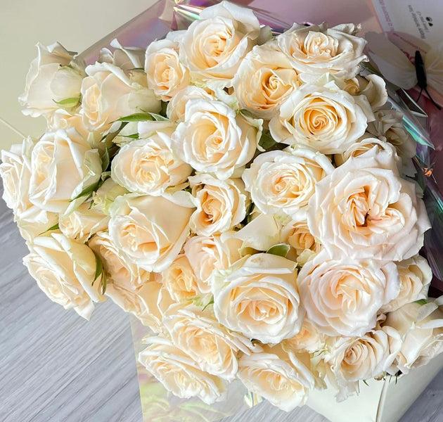 White baby rose